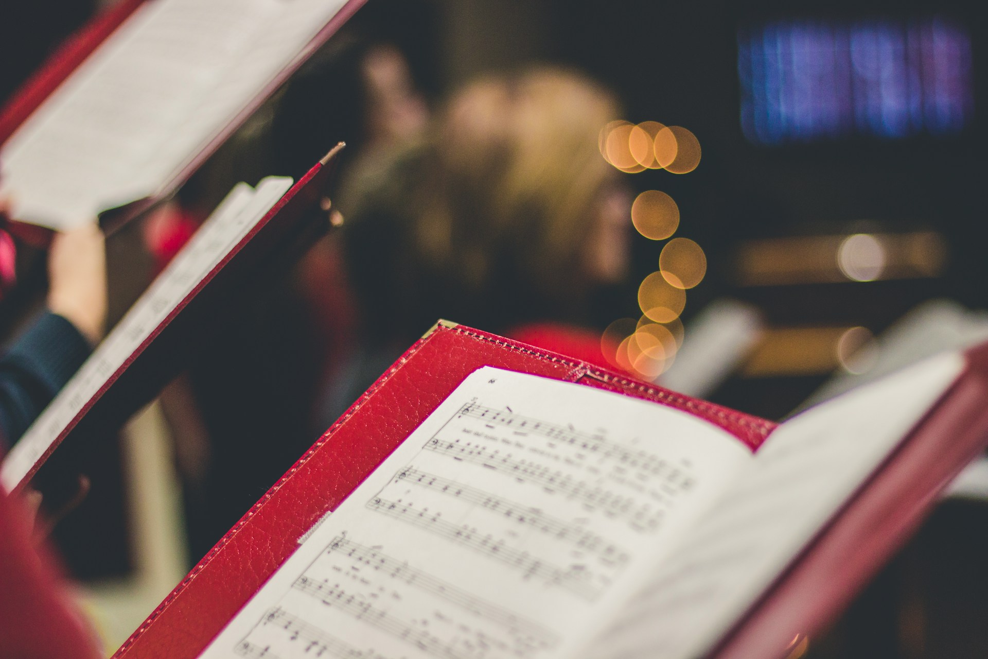 david-beale-gOsGgt4olNs-unsplash (1)